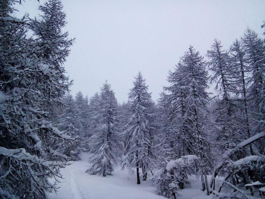 Studio Au Coeur De Valberg A Proximite Des Pistes Bagian luar foto